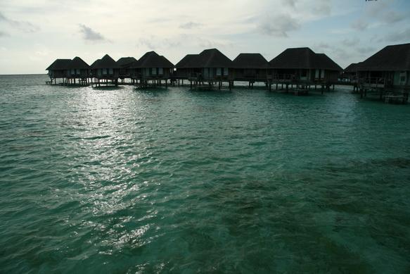 IMG_8775.JPG